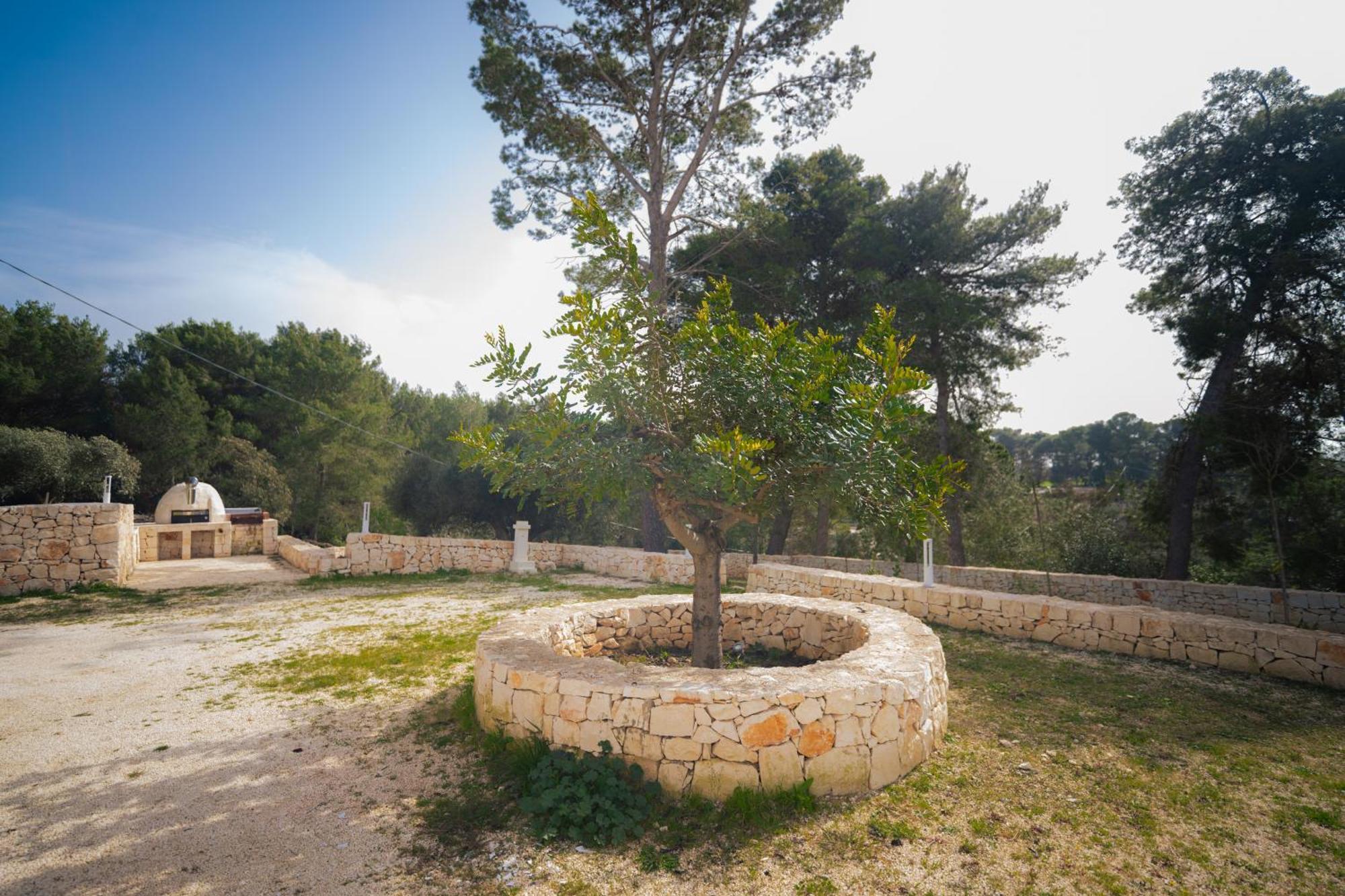 马丁纳弗兰卡Trulli Magda别墅 外观 照片
